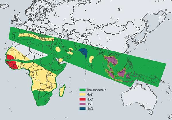 Map-Thalassemia